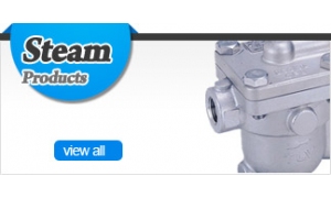 Steam Traps Products